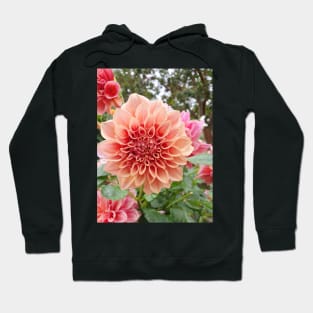 Peach Dahlia Hoodie